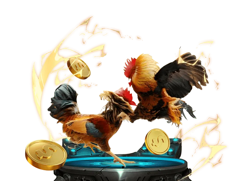 Tỷ lệ cược đá gà cao tại 0123win